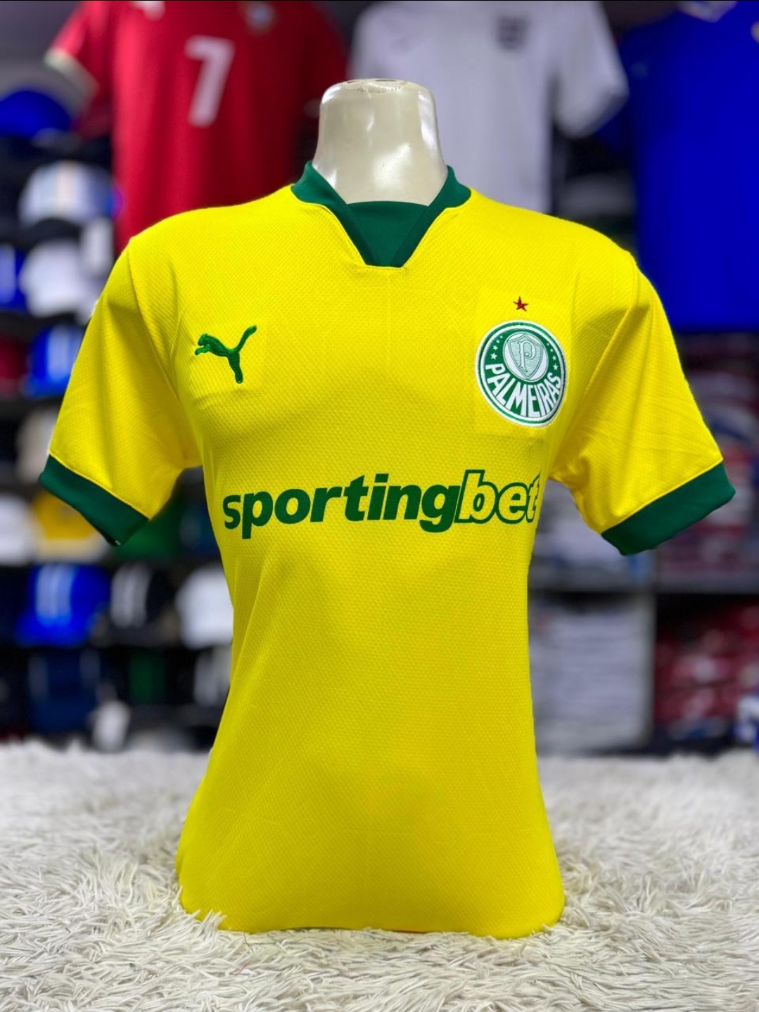 Manto Palmeiras 2025 Camisa 3