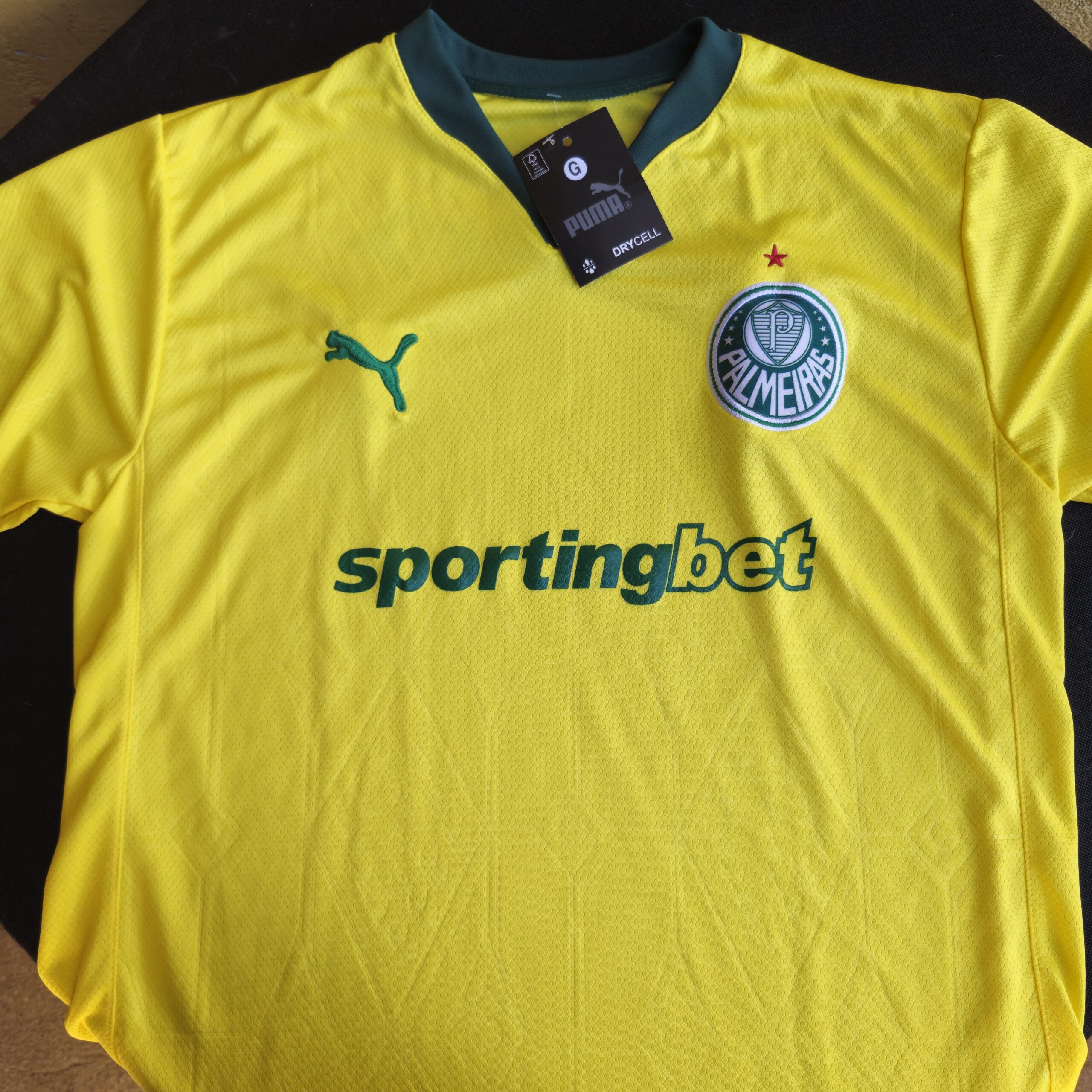 Manto Palmeiras 2025 Camisa 3 - Imagem 2