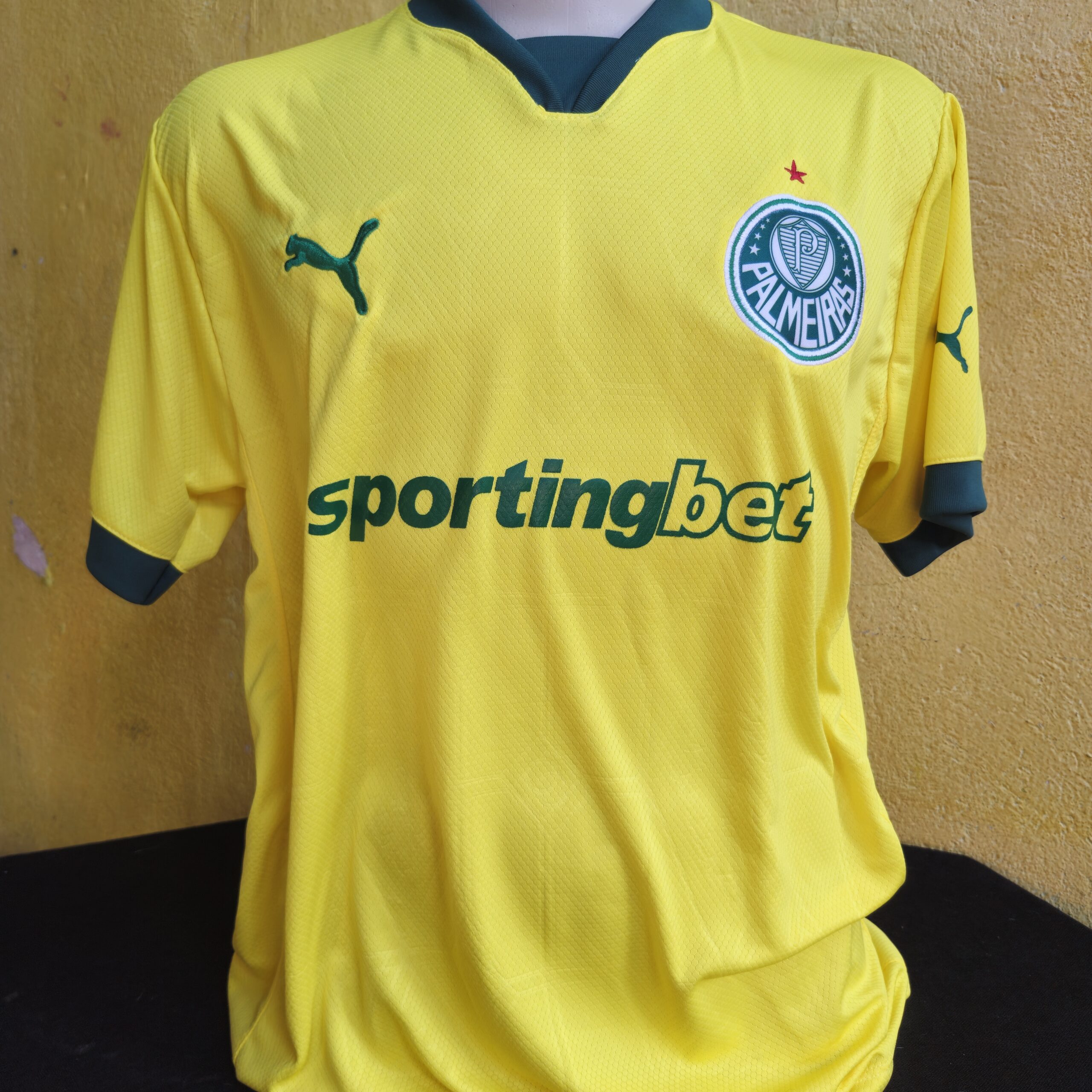 Manto Palmeiras 2025 Camisa 3 - Imagem 5